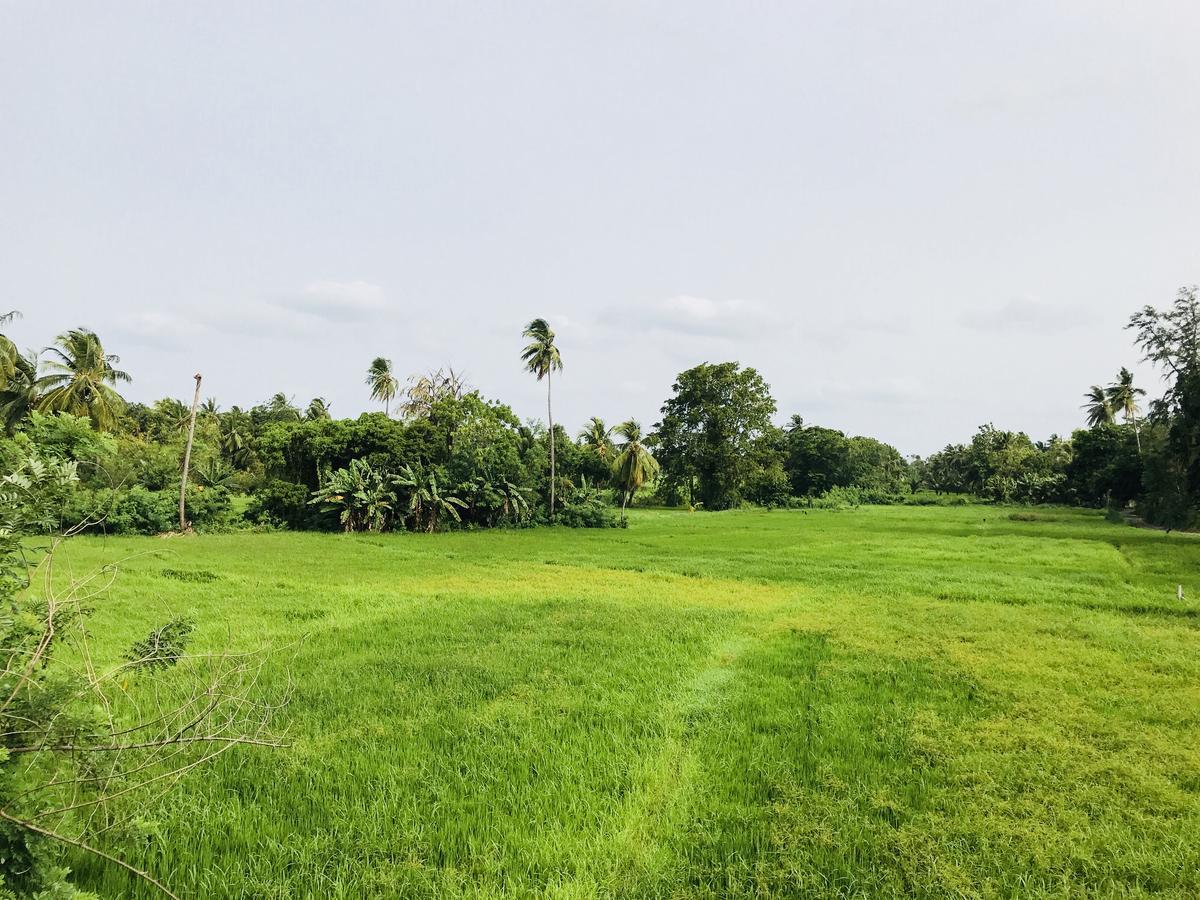 Nil Arana Resort Polonnaruwa Exteriör bild